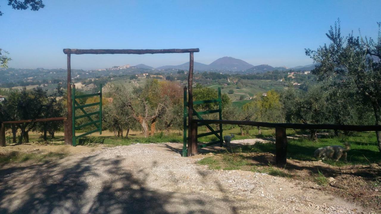 Baduerughe Guest House Poggio Mirteto Bagian luar foto