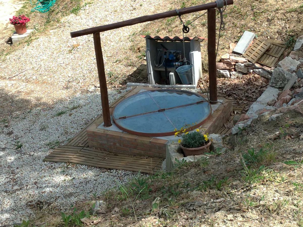 Baduerughe Guest House Poggio Mirteto Bagian luar foto